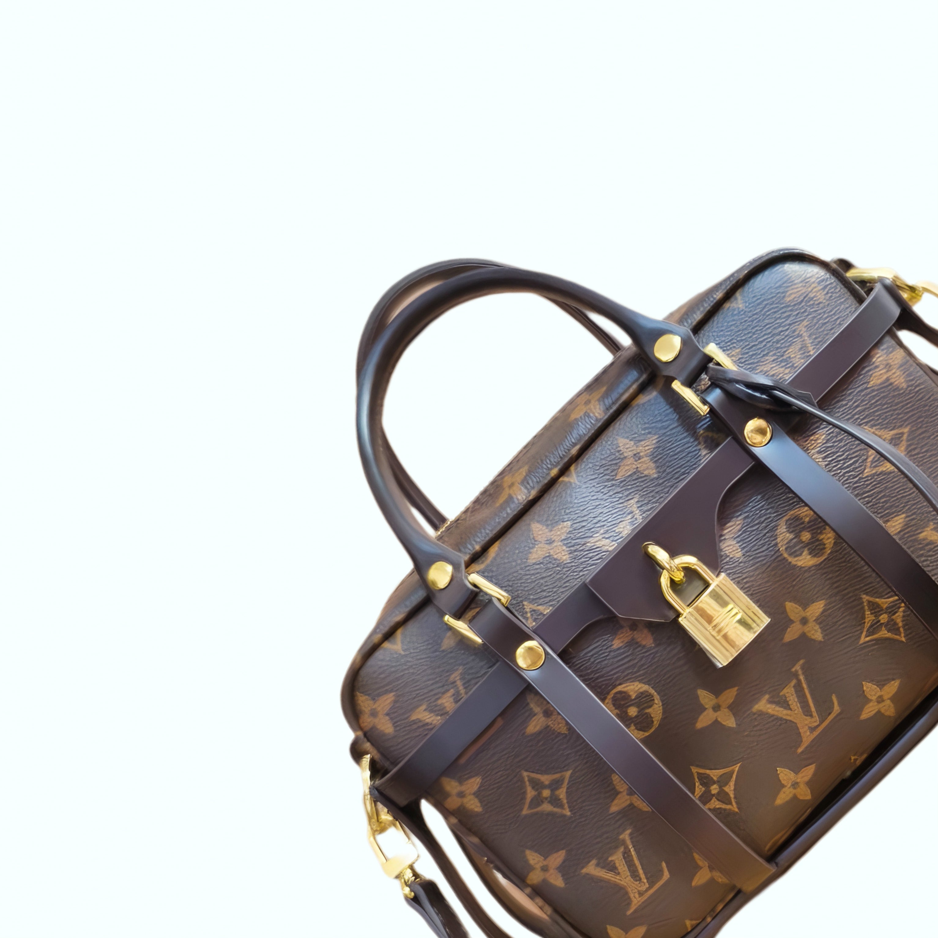 Trousse Pouch to Bag Encasement