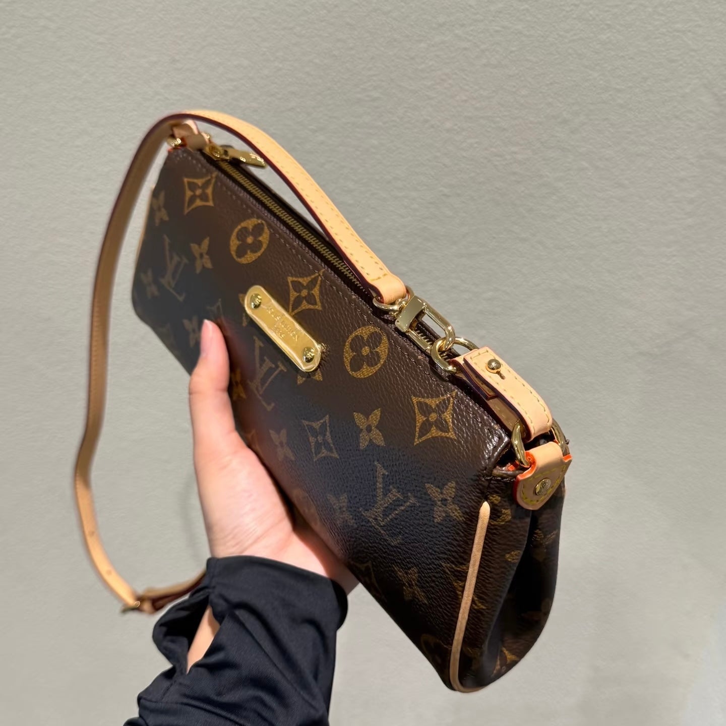 Louis Vuitton monogram handbag held by a person for travel bag