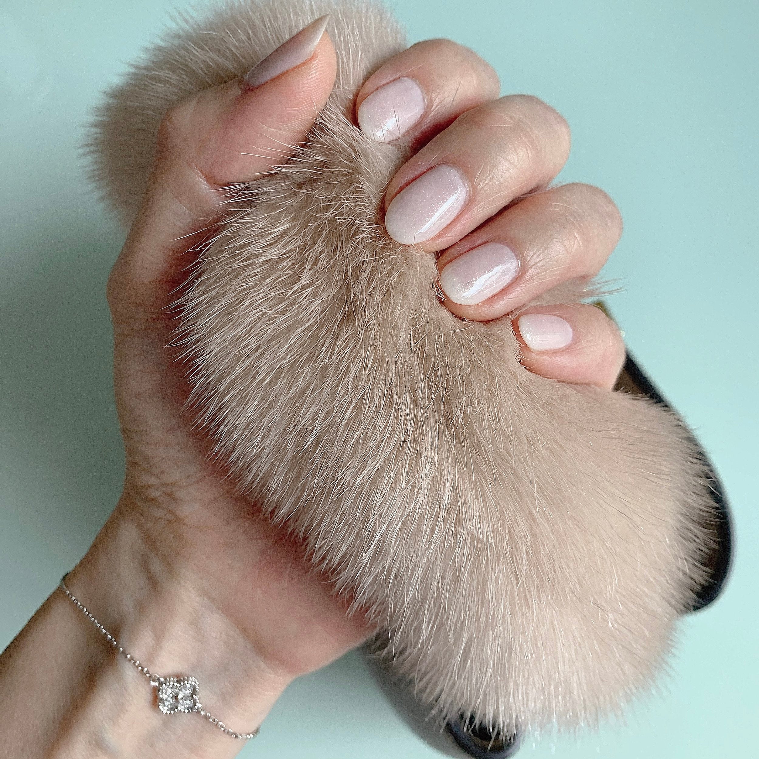 Stop Touching Bag | Touching Hand Bag A2 | Aimere Luxury Collection